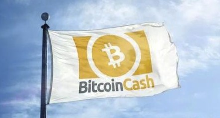 為何比特現(xiàn)金是長期投資的最佳選擇？
