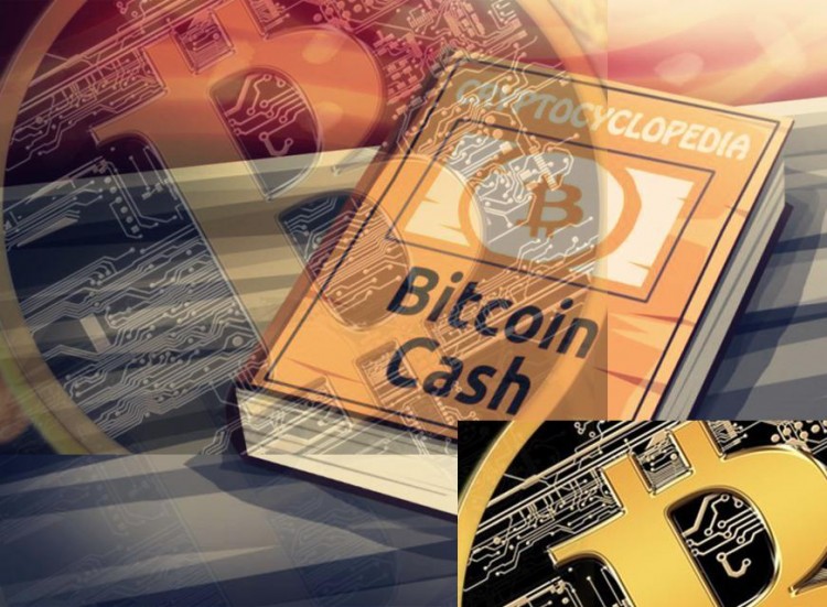 你聽說過比特幣現(xiàn)金嗎？比特幣現(xiàn)金和比特幣有什么不同？