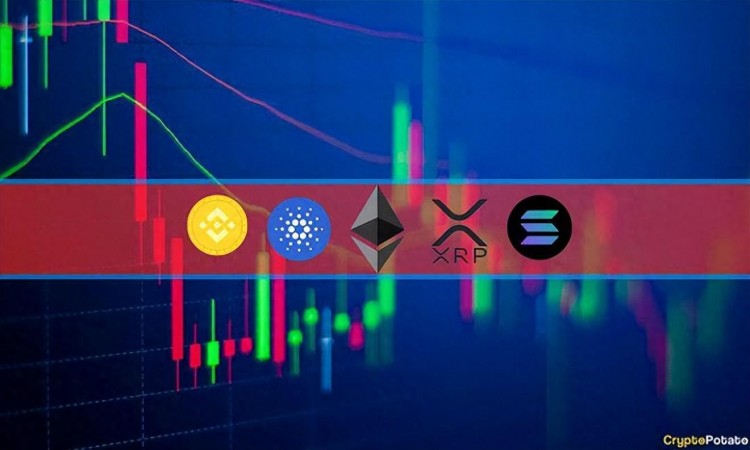 11 月 17 日本加密貨幣價(jià)格分析：ETH、XRP、ADA、SOL 和 BNB