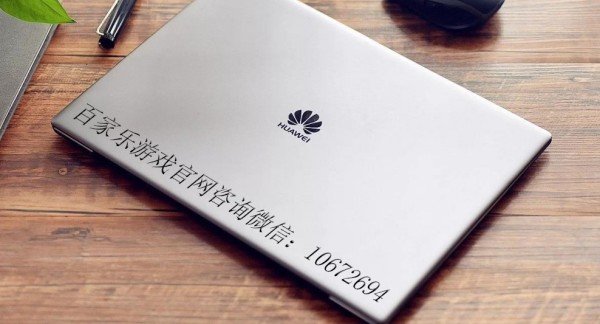 什么是SDT硬幣？