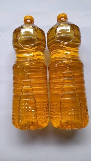 最新豆油菜籽油棕櫚油走勢(shì)分析2023.11.20
