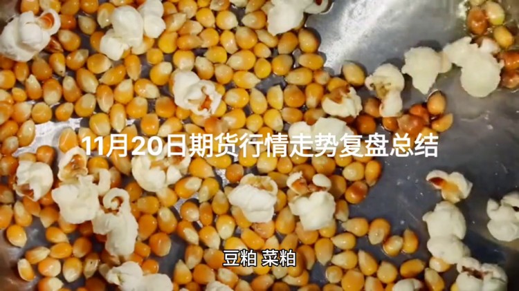 十一月二十日期貨市場(chǎng)走勢(shì)復(fù)盤(pán)總結(jié)#投資