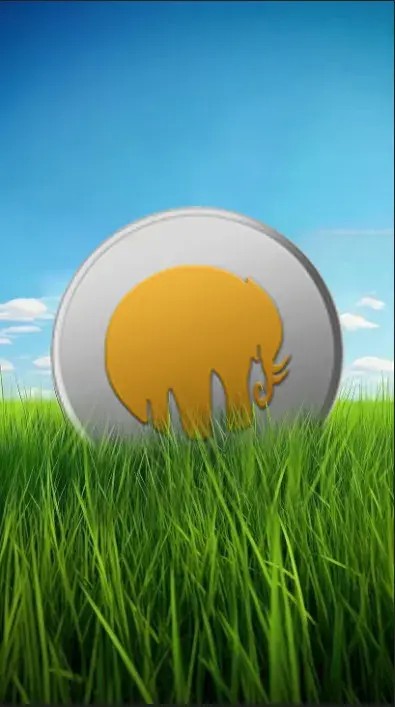 貝爾格萊德幣BGD：ETF比特幣需求激增，流動性挑戰(zhàn)