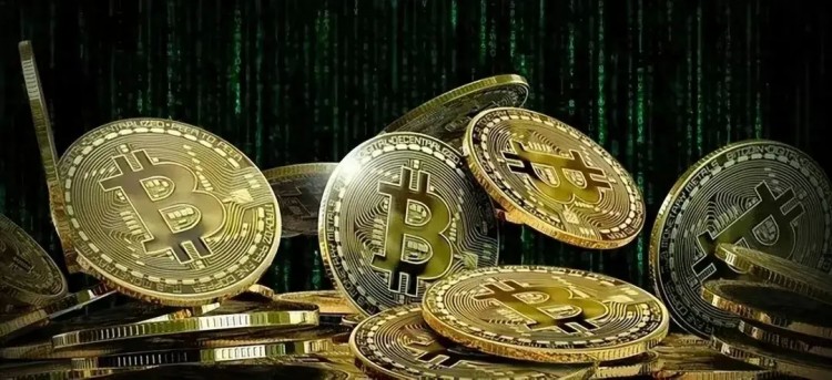 Catrina：與可編程相比，比特幣的資本效率更為重要