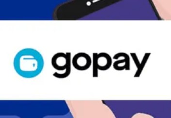 什么是gopay？
