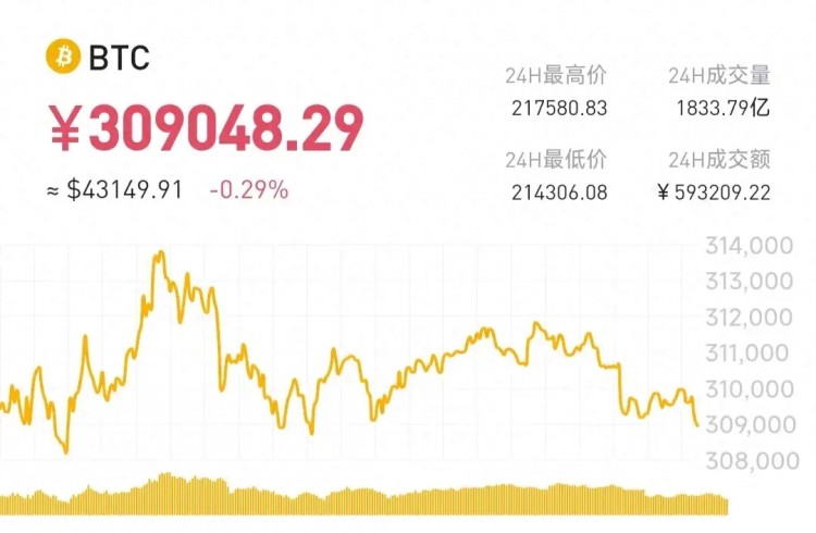 如何一步一步地實(shí)現(xiàn)比特幣虛擬貨幣龍頭的地位？
