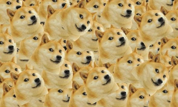 什么是doge？