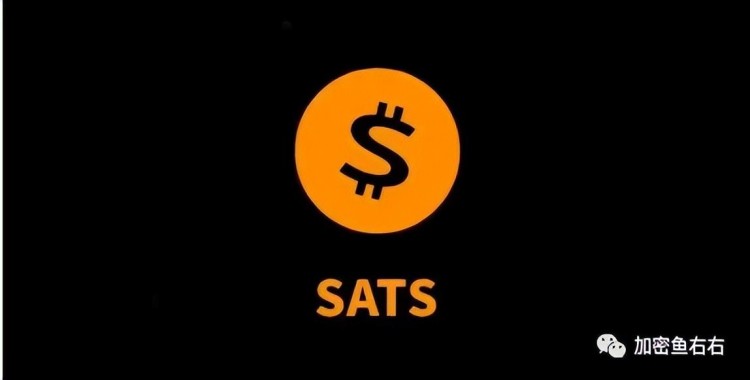 SATS的發(fā)展歷程，大戶獲利，贏家分析