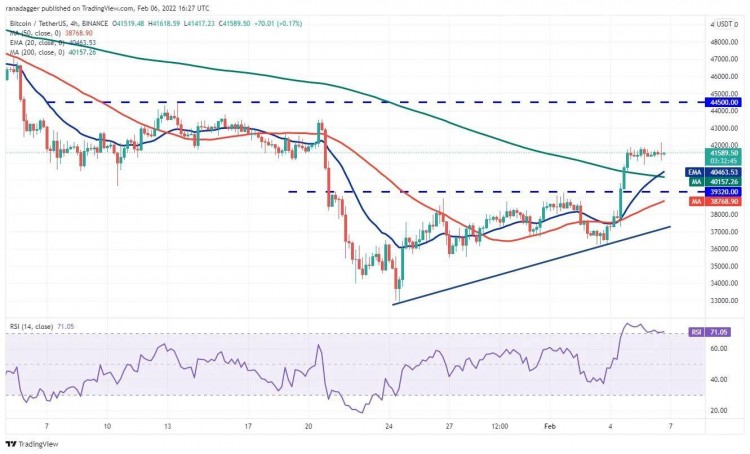 這個星期值得關注 5 大型加密貨幣：BTC、ETH、NEAR、MANA、LEO
