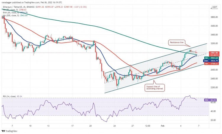 這個星期值得關注 5 大型加密貨幣：BTC、ETH、NEAR、MANA、LEO