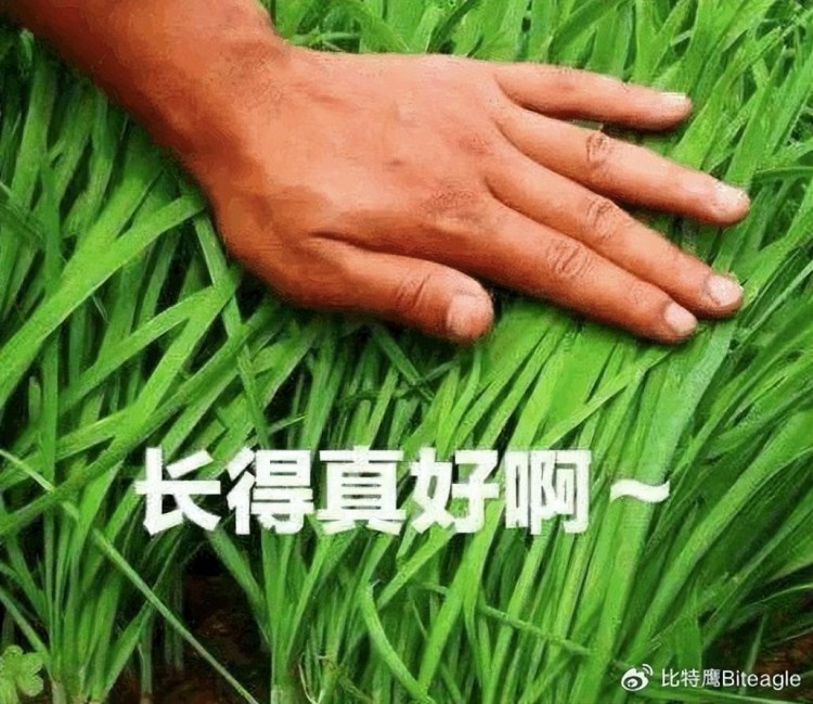 八月份結束九月幣券大事件；發(fā)財的機會就在這里。