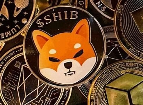 DOGE與SHIB：哪一個是下一個明星加密貨幣，從玩笑到價值？