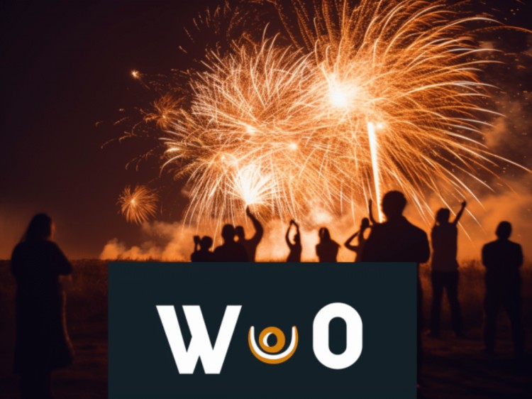 WOO 揮汗如雨，從 3AC 收回股份和股份 2000 萬代幣！