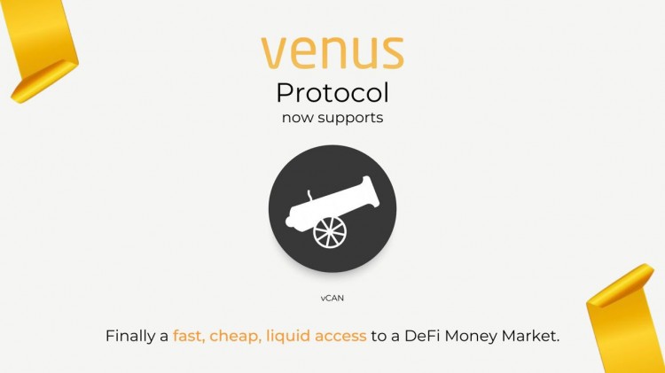 Venus 1.3億美金 BTC 超大羊毛是怎么被擼到手的？