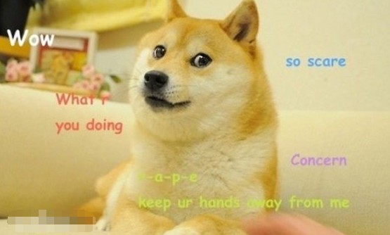 什么是網(wǎng)絡(luò)語言doge？