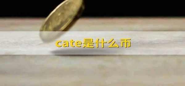 什么是cate？