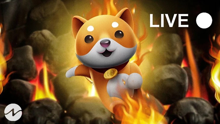 BABYDOGE(寶貝狗)大漲！即將到來 Poloniex 加密貨幣交易所上市交易！