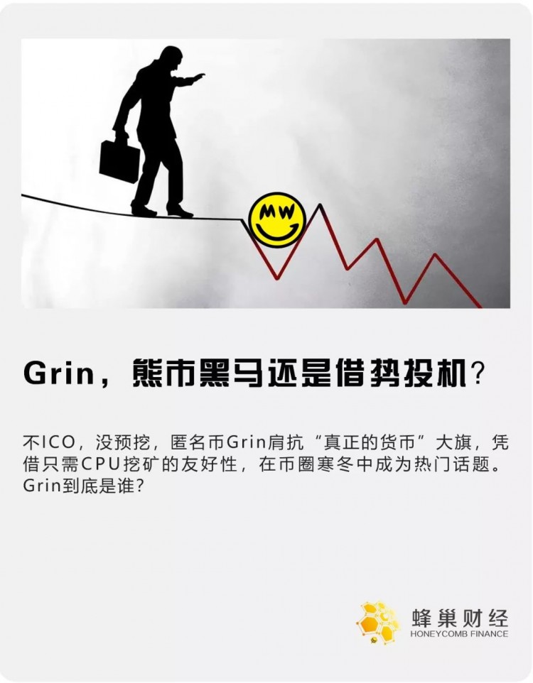 Grin這種匿名貨幣點(diǎn)燃了冷幣圈，能否扛起“真貨幣”的大旗？