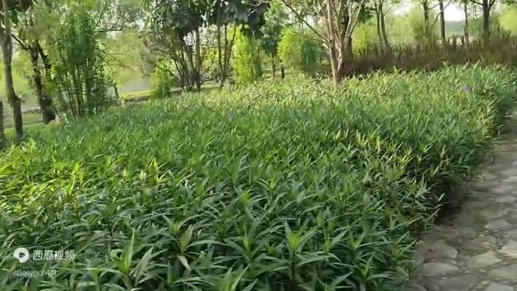 國內(nèi)對比特幣虛擬貨幣了解不全面，容易掉進詐騙陷阱，開戶...