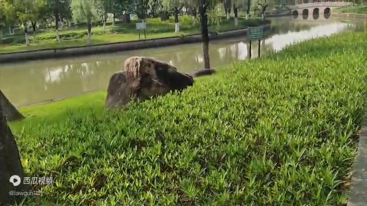 國內(nèi)對比特幣虛擬貨幣了解不全面，容易掉進詐騙陷阱，開戶...