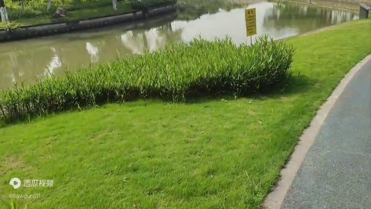 國內(nèi)對比特幣虛擬貨幣了解不全面，容易掉進詐騙陷阱，開戶...