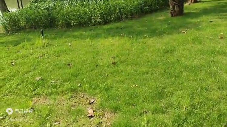 國內(nèi)對比特幣虛擬貨幣了解不全面，容易掉進詐騙陷阱，開戶...