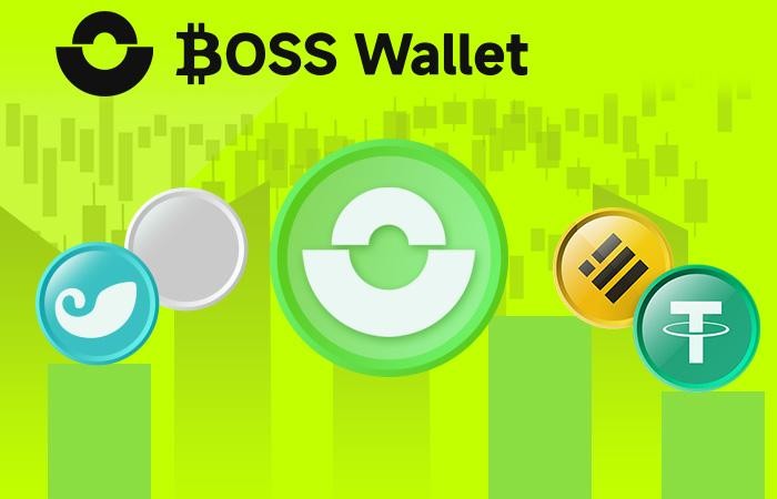 6萬(wàn)美元的比特幣測(cè)試關(guān)口_BOSS幫助用戶保護(hù)虛擬資產(chǎn)的Wallet(1)