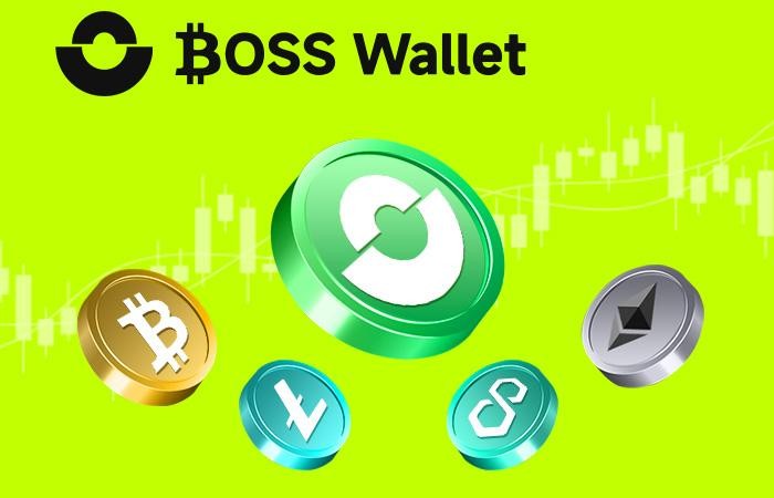 6萬(wàn)美元的比特幣測(cè)試關(guān)口_BOSS幫助用戶保護(hù)虛擬資產(chǎn)的Wallet(1)