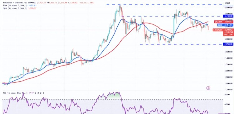 BTC 比特幣 當(dāng)市場低迷時，企業(yè)鯨魚收購了價值 7000 比特幣萬美元