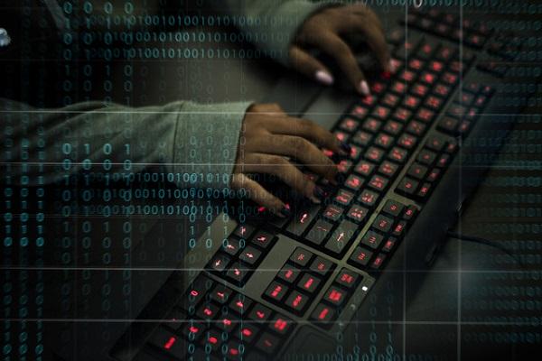 Hamstertelegram游戲 Kombat計劃將60%的代幣空投分配給玩家 Hamstertelegram游戲 Kombat計劃將60%的代幣空投分配給玩家
